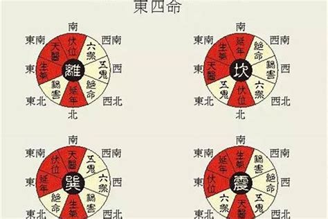 东西四命速查表|李仁贵180年男女东西四命卦速查表